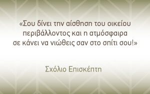 Σχόλιο επισκέπτη_1